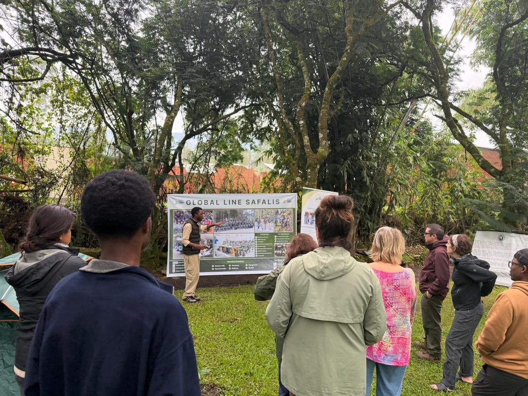 Training & Attachments