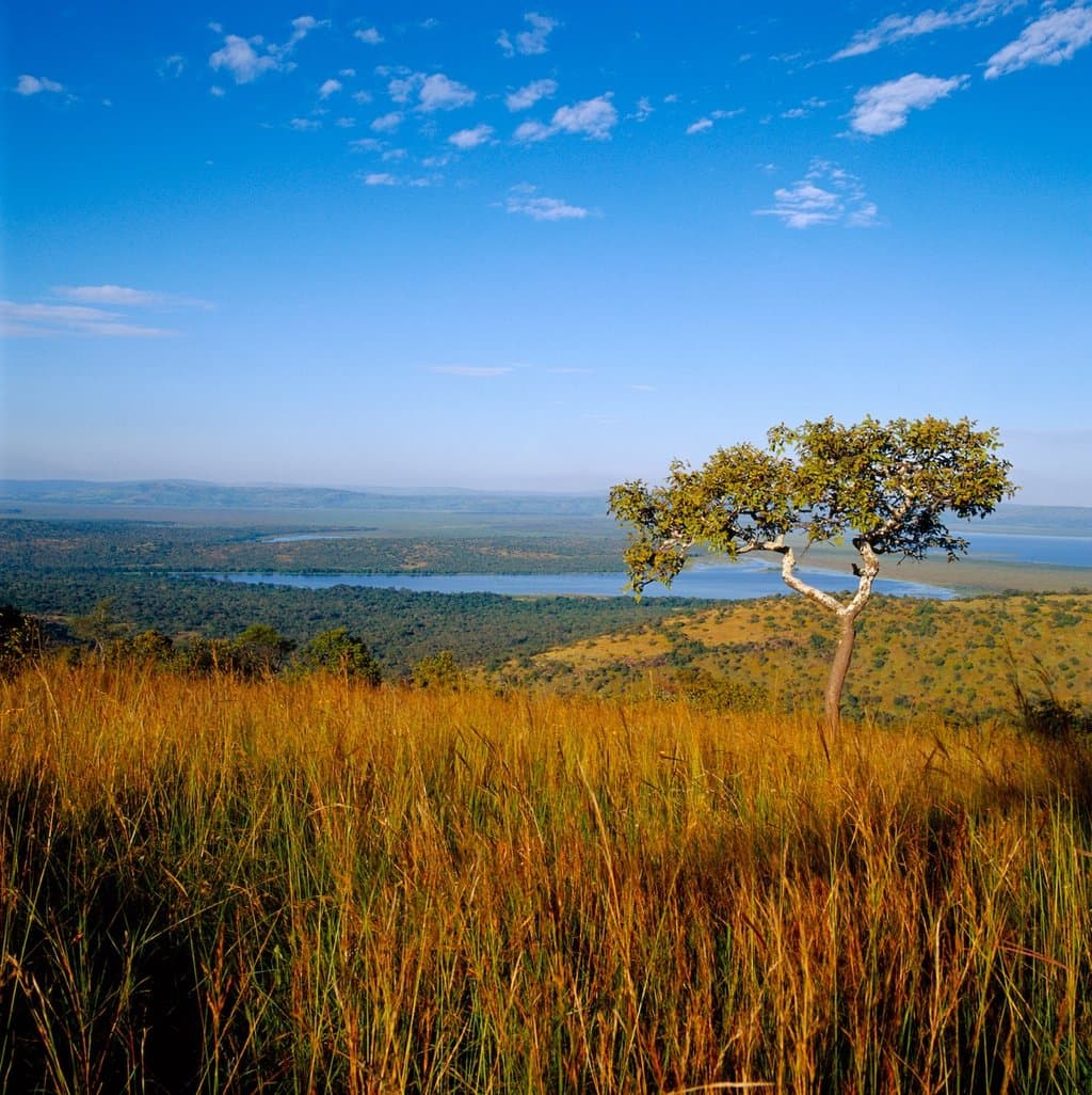 Landscape of Akagera National Park, Rwanda's largest national park