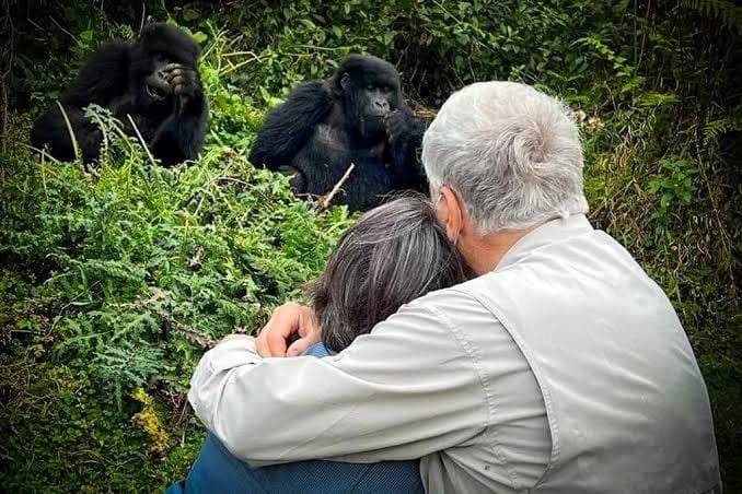 1-Day Rwanda Gorilla Trekking Experience – Volcanoes National Park